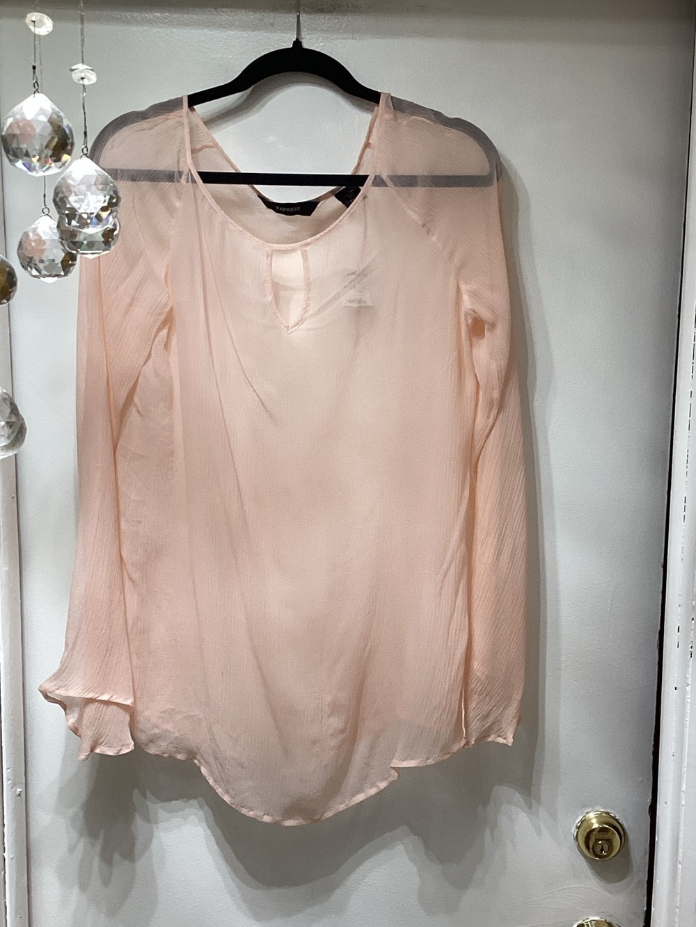Express Sheer Long-Sleeve Blouse in Light Pink